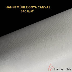 Impression et tirage Fineart pigmentaire sur toile Canvas Hahnemuhle Goya Canvas 340 à Montpellier