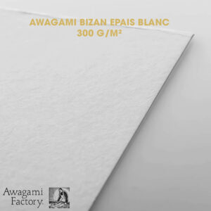 Papier Fineart Awagami Bizan blanc 300 Montpellier
